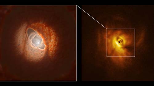 ��� ������ ����������� ����� �������� ��������� ������� Moroccanoil �� ������ Lebel ����������